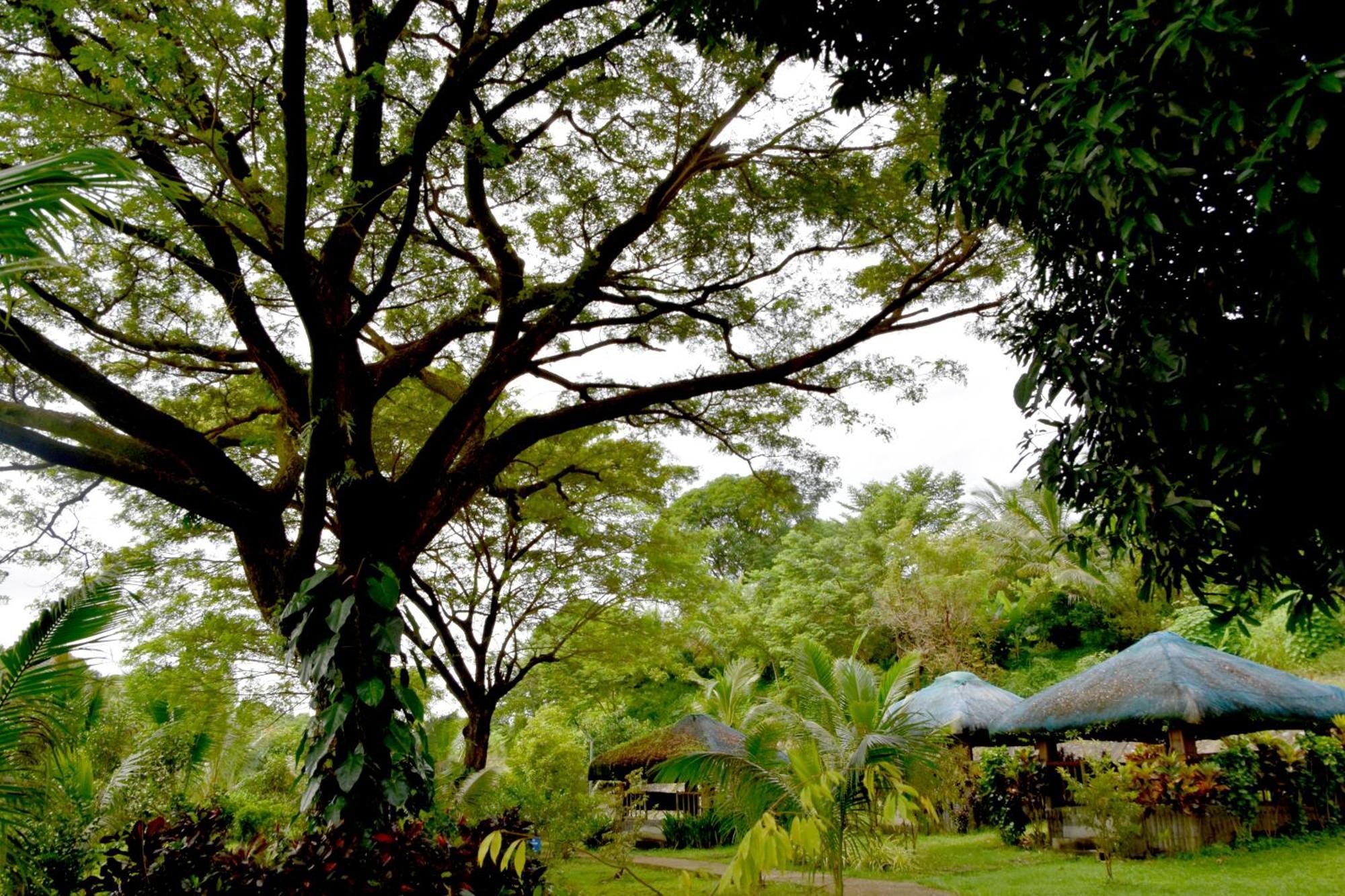 Isla De Oro Hotel Mamburao Eksteriør billede