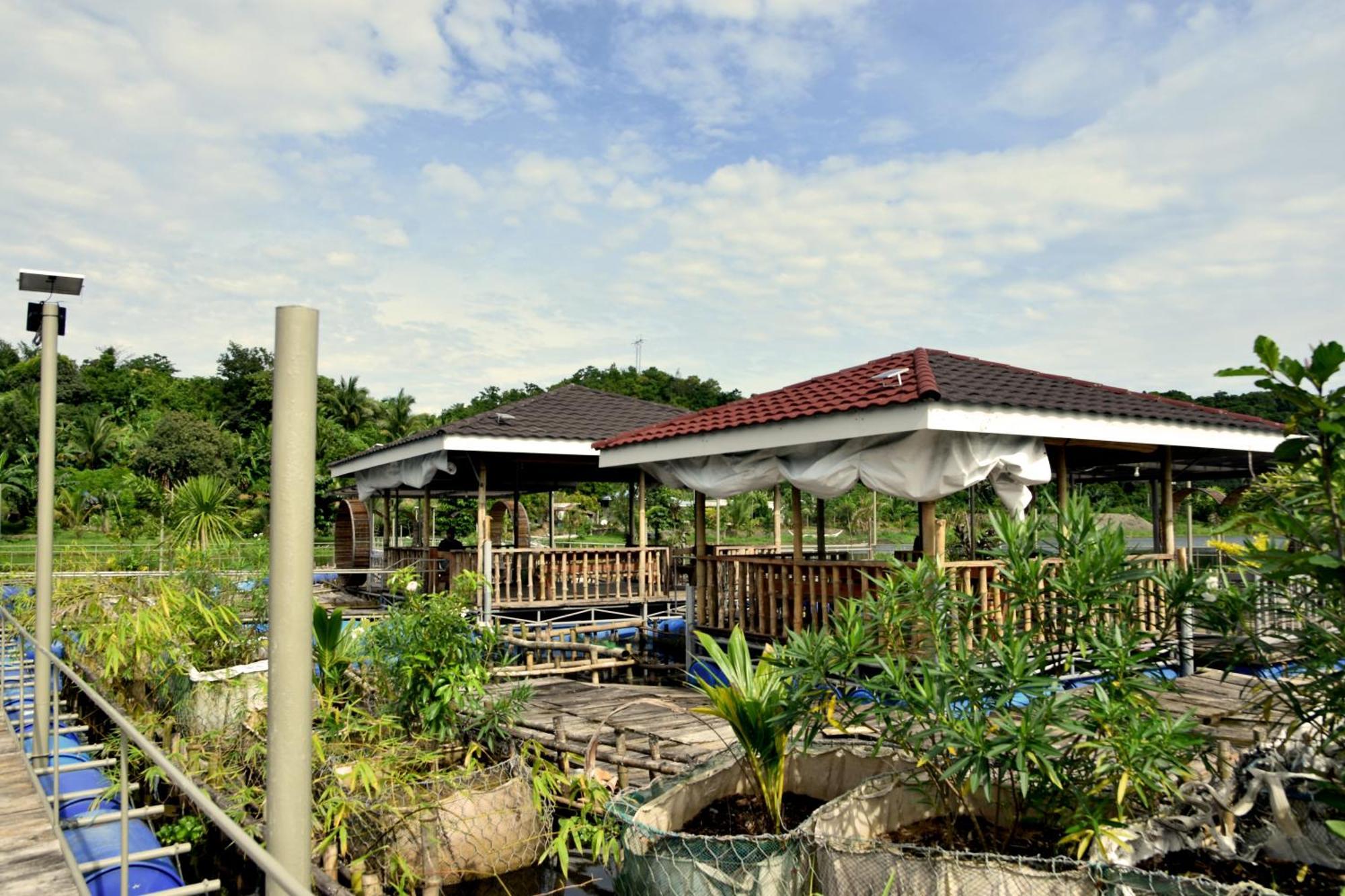 Isla De Oro Hotel Mamburao Eksteriør billede